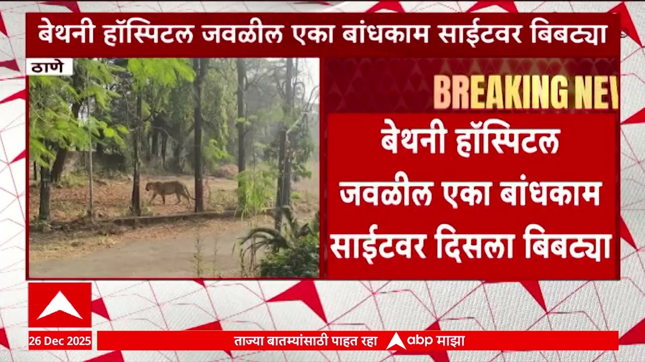 Thane Bibtya : ठाण्यातील बेथनी हॉस्पिटल जवळील एका बांधकाम साईटवर बिबट्याचा वावर