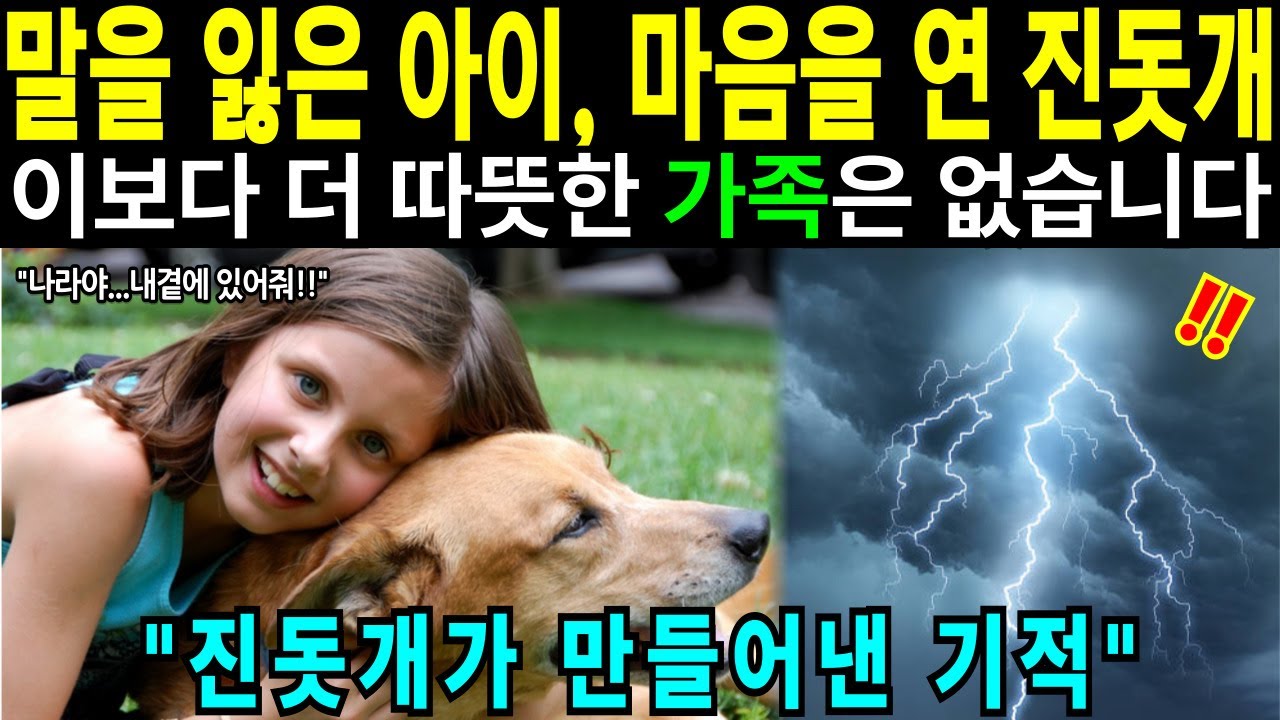 [해외감동사연]말을 잃은 아이, 마음을 연 진돗개