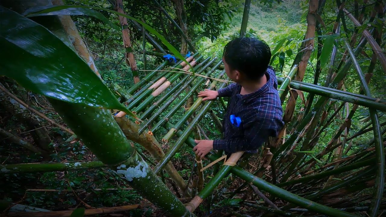 ￼ สร้างที่พักบนต้นไผ่อยู่ไม่ได้ต้องวิ่งหนีกลับอย่างไว
