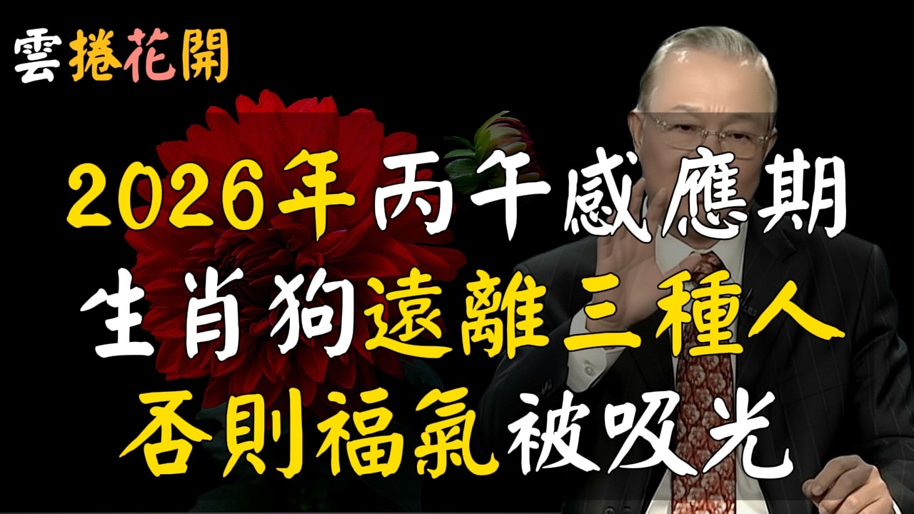 2026丙午馬年，生肖狗的朋友正處於丙午感應期，務必要遠離這3種人！#心河渡口