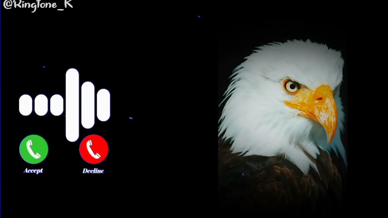 Mobile phone ringtone ||Notification Ringtone || SMS Ringtone || Message Ringtone || SMS Sound