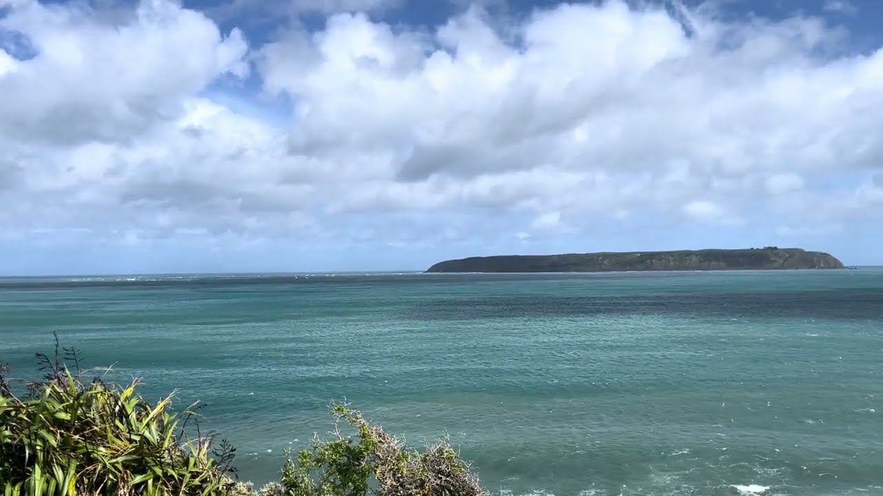 Rugged Coastline (West Coast) Lower North Island, New Zealand - views to Mana Island 