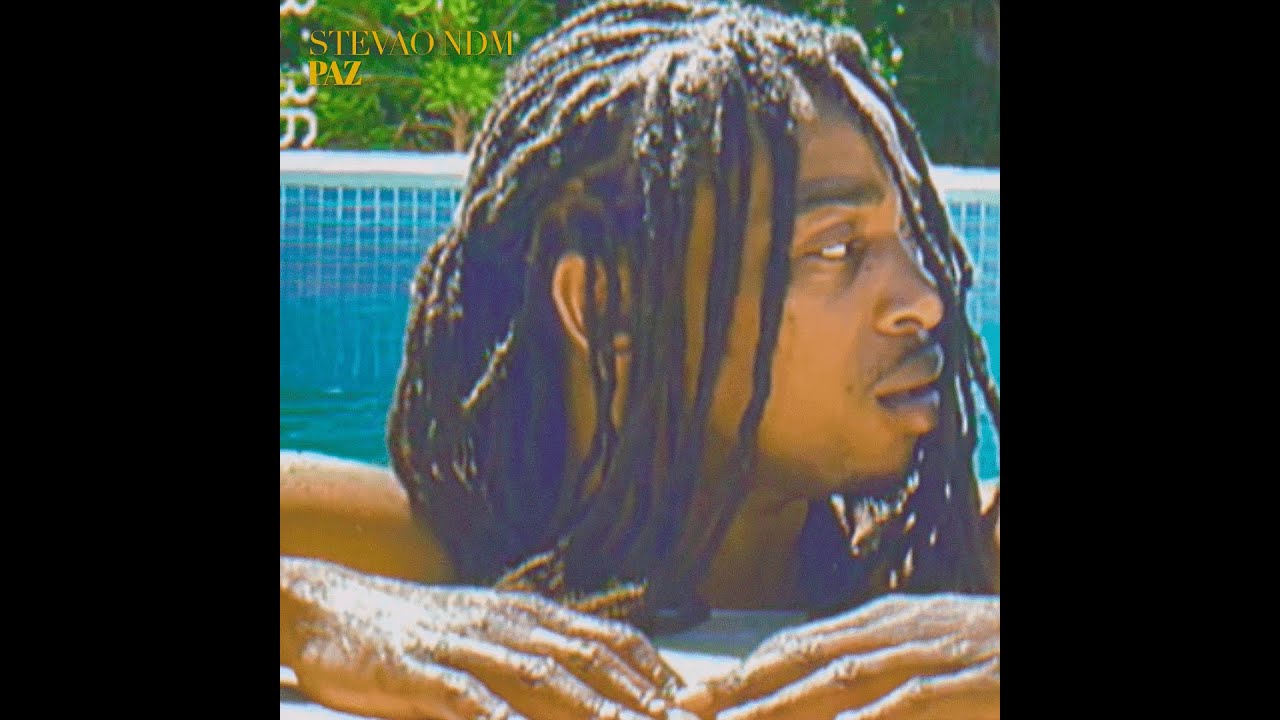 STEVÃO NDM x ZOO - PAZ (Visualizer)