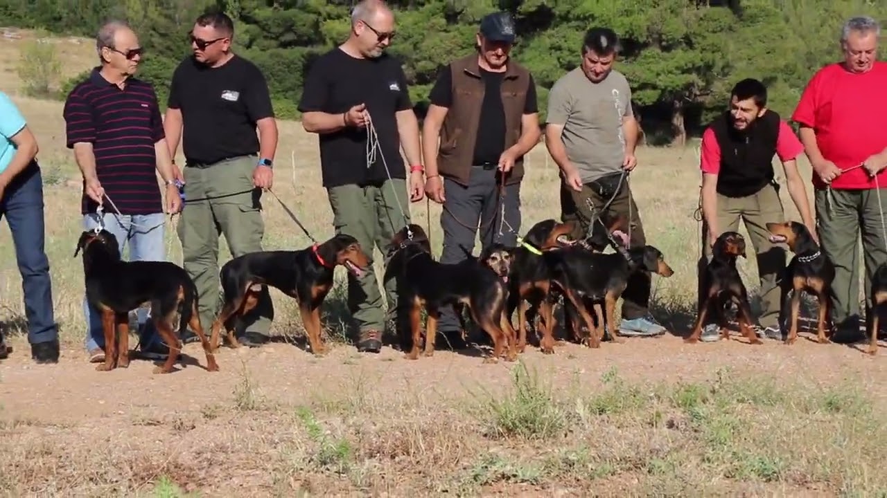 ΛΕΣΧΗ ΕΛΛΗΝΙΚΟΥ ΙΧΝΗΛΑΤΗ Συνάντηση μελών.