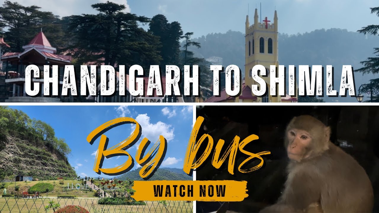 CHANDIGARH TO SHIMLA BY BUS TRIP (ਚੰਡੀਗੜ੍ਹ ਤੋਂ ਸ਼ਿਮਲਾ ਟਰਿੱਪ ਬੱਸ ਰਾਹੀਂ)