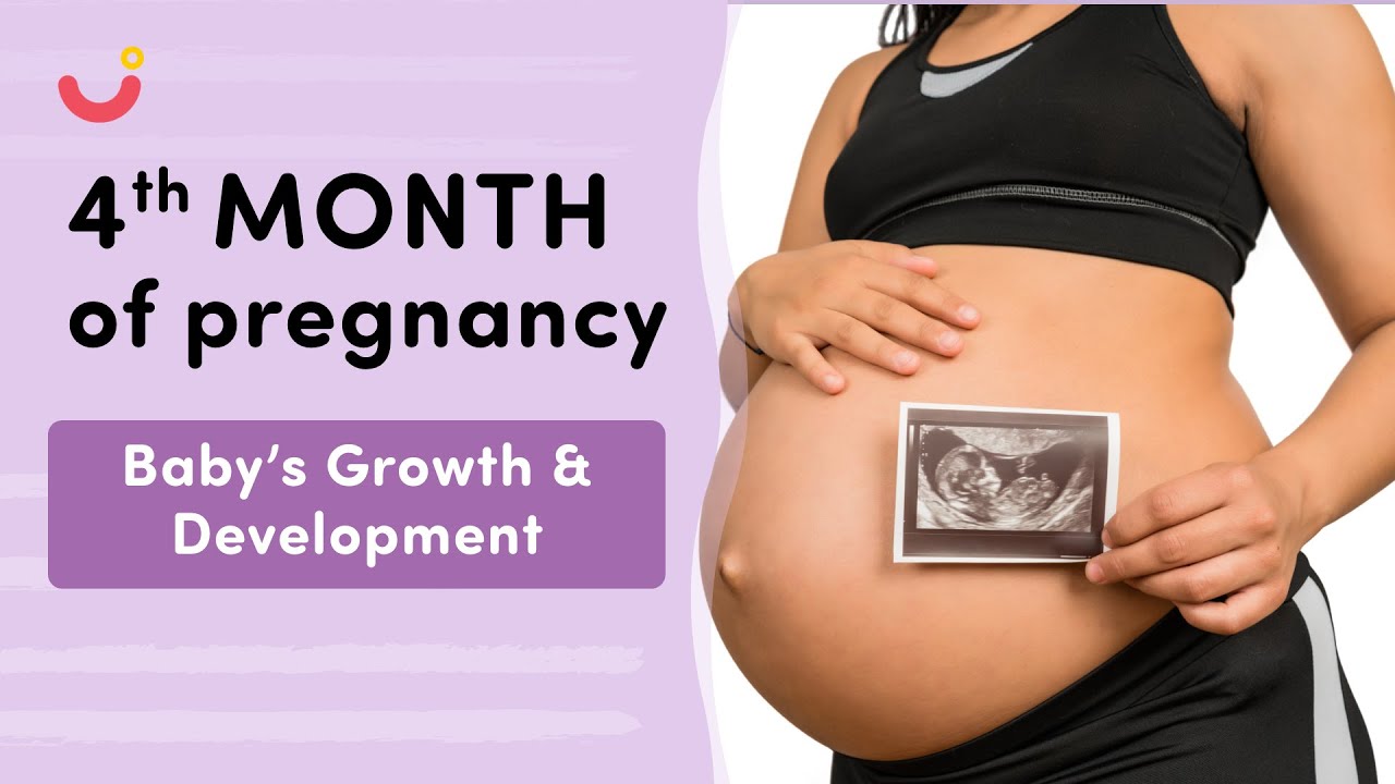 4 Month Pregnancy Baby Movement | Fetal Growth & Development in 4 Months of Pregnancy | Mylo Family