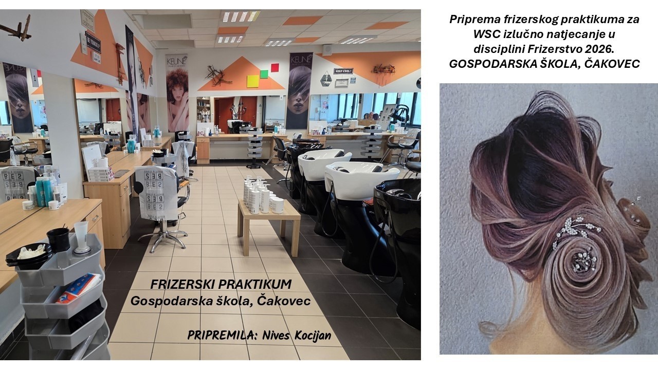 WSC; priprema praktikuma za izlučno natjecanje u disciplini FRIZERSTVO 2026. (GŠ, Čakovec)