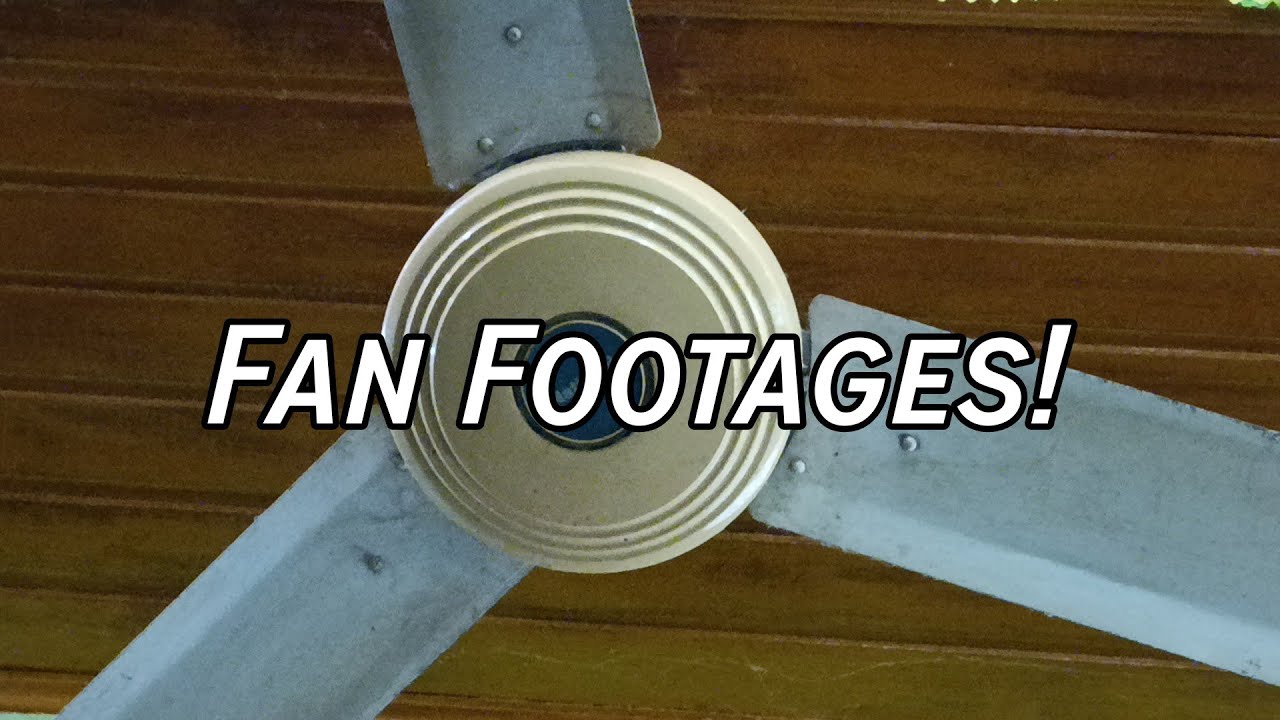 Fan Footages! 18