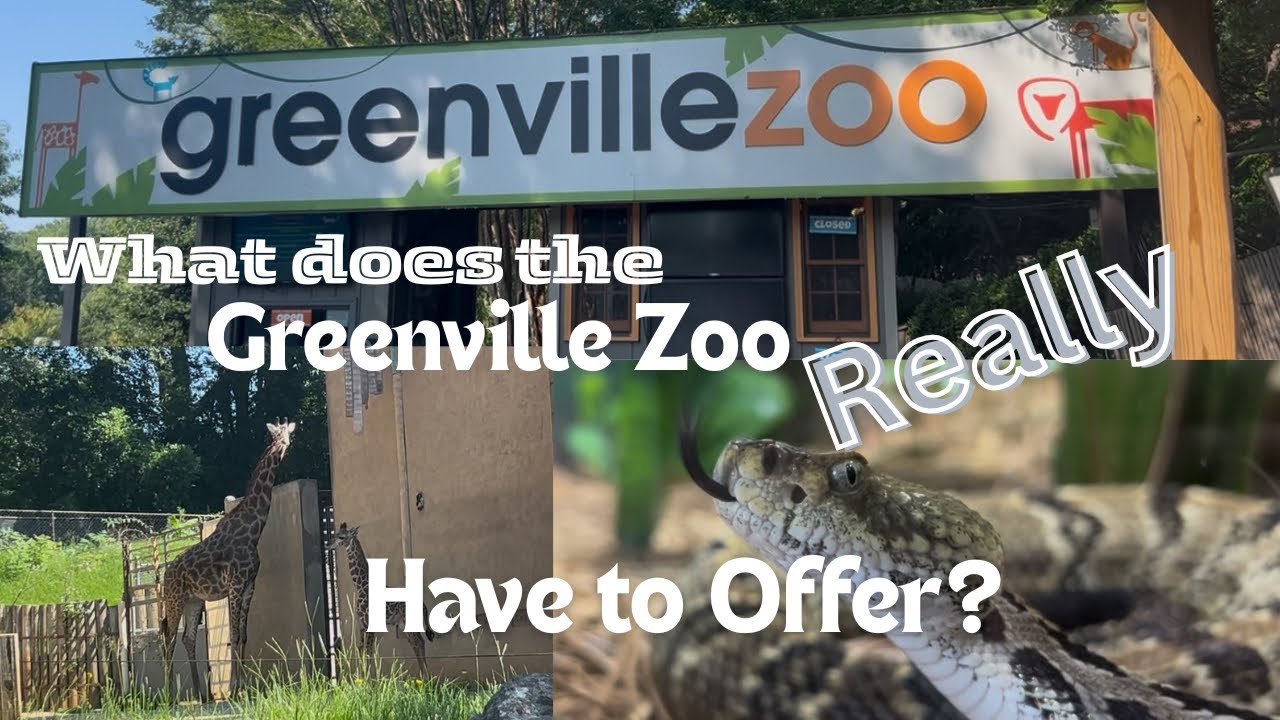 Greenville Zoo Tour - What Will You See?