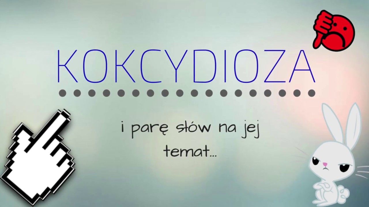 Kokcydioza u królików - co to ? jak się objawia?🐰💊💉