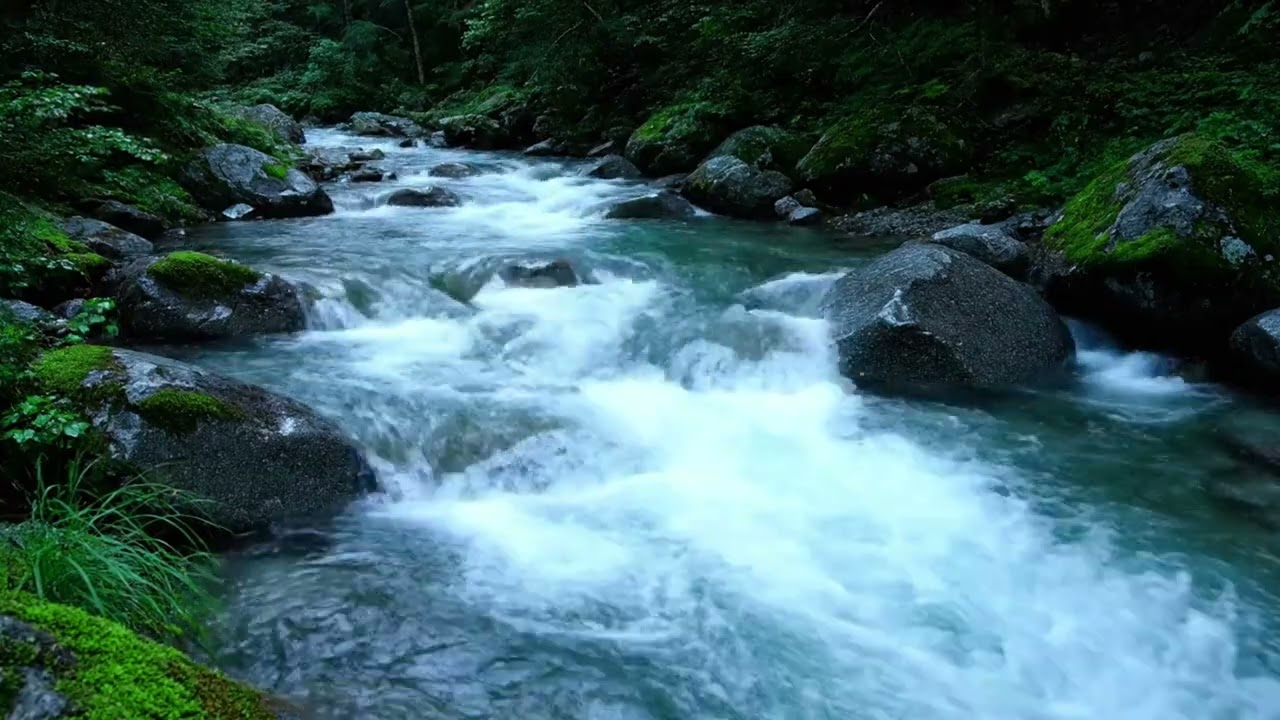 Tibetan Meditation Flute 888Hz 🌿 Pure Nature Healing: River Flow & Birdsong for Inner Peace