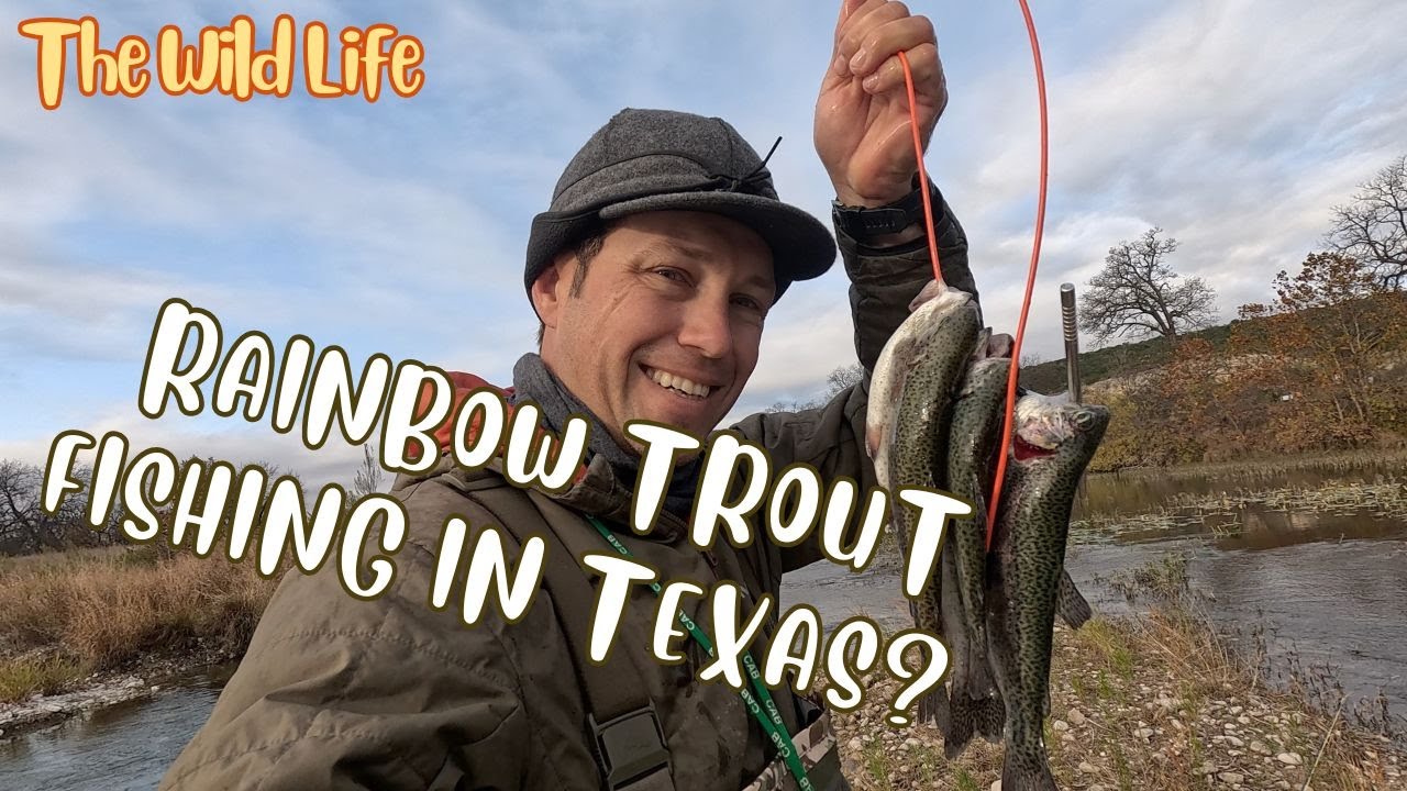Fishing for Rainbow Trout in Texas Hill Country? I had NO Idea! (Catch, Clean & Cook)