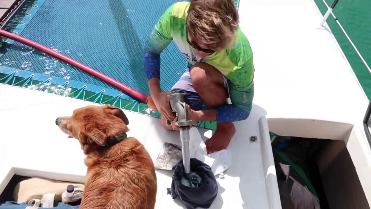 Sailing to GRENADA 🇬🇩 | Dog Vlog