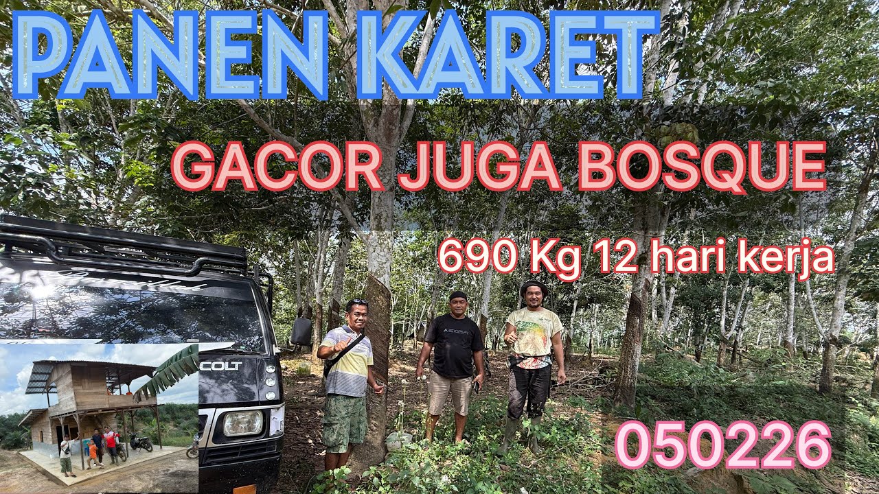 MENYALA PANEN KARET #fypシ #fyp #video #videoviral #petanihebat #petanikaret #videos #videofyp #fypシ 