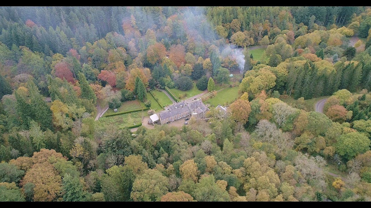Hamsterley forest (West) by drone, Co Durham.
