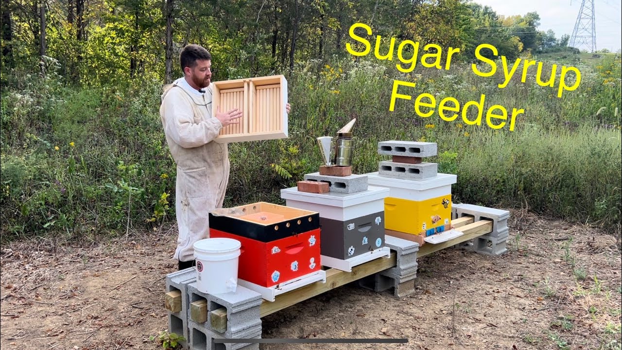 REVIEW: Dadant 10-Frame Wooden Hive Top Feeder