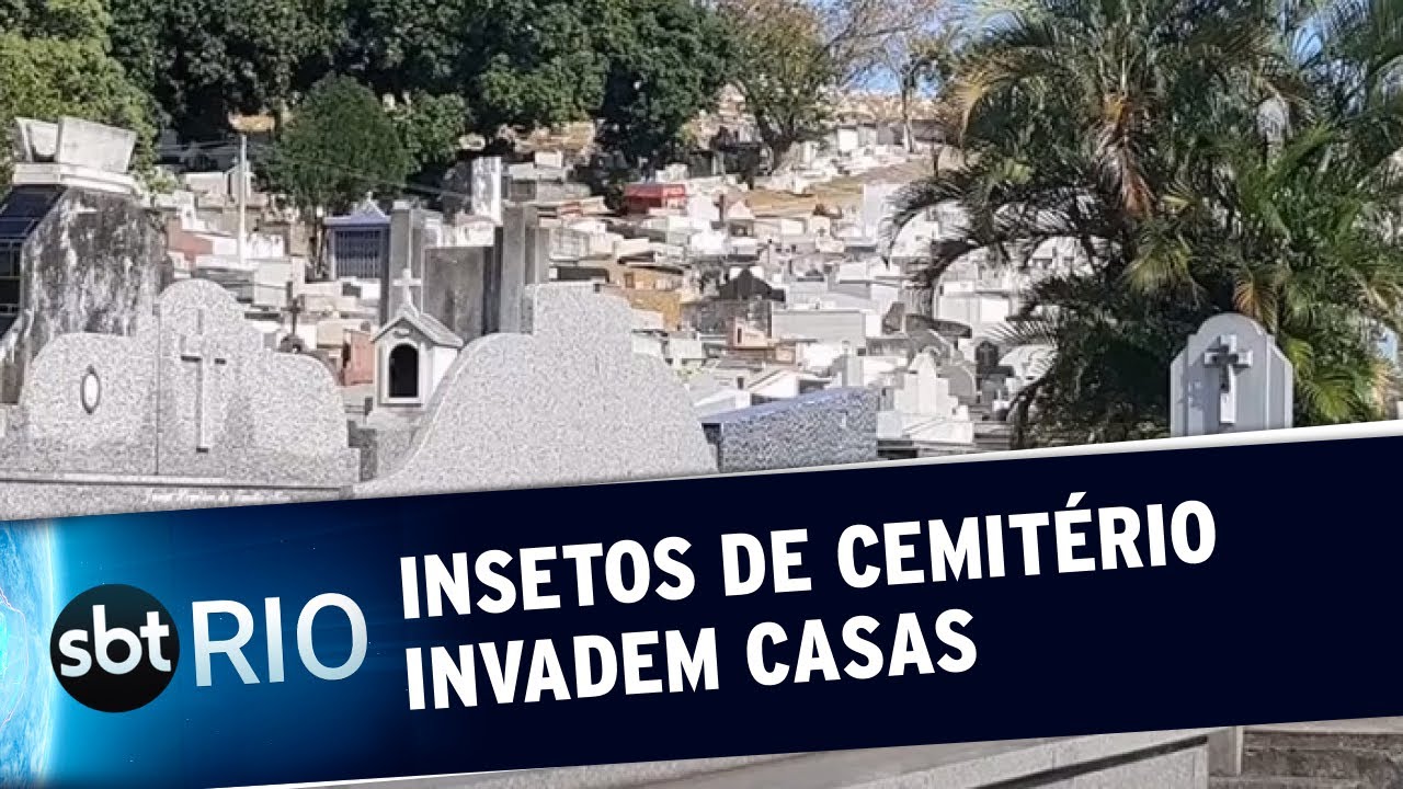 Insetos de cemitério invadem casas vizinhas
