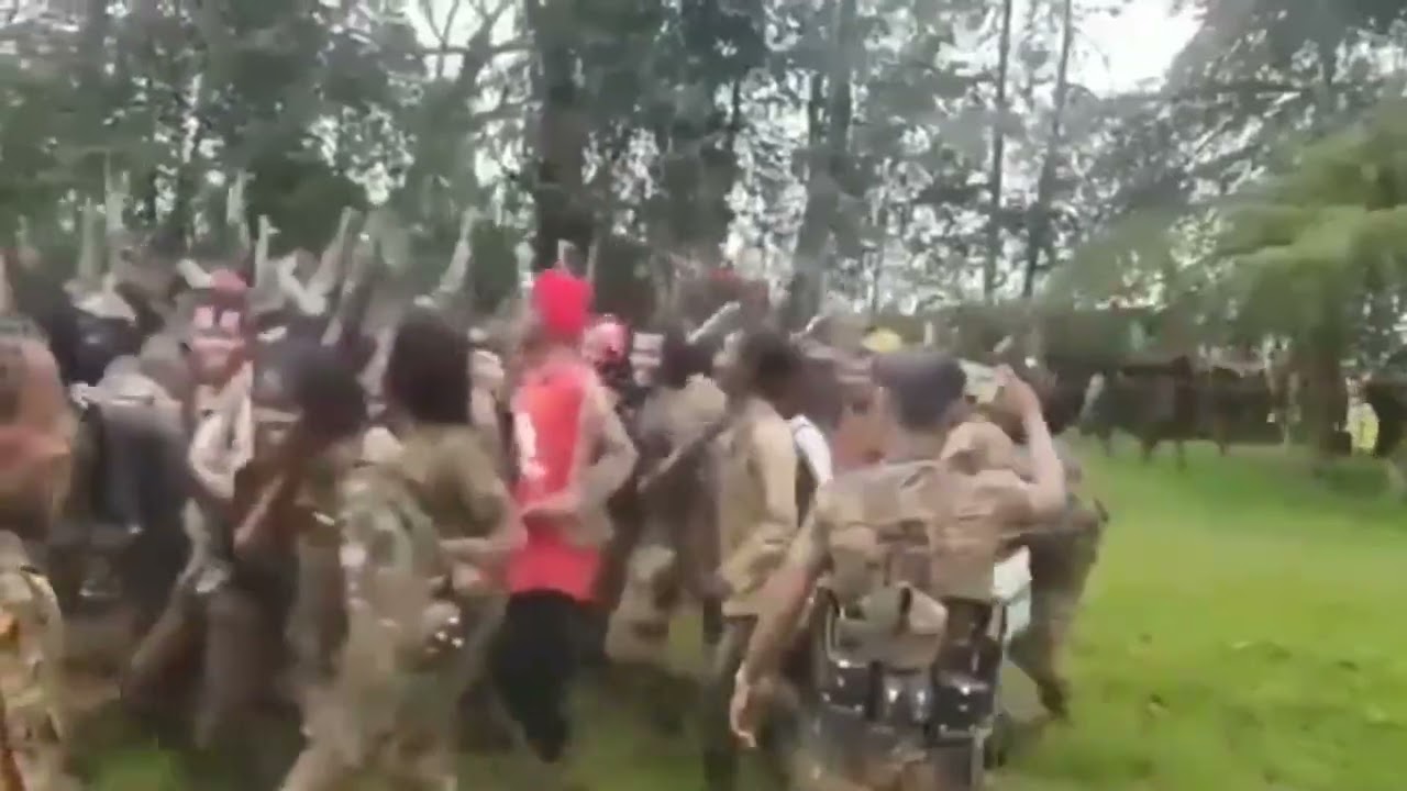 WBO _ Fannoo --- Motummaa naannoo Amaaraa.   Oromia : Ethiopia