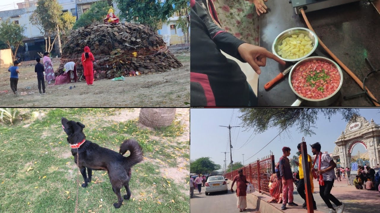 Bruno🐕‍🦺, Masti Aur Vrindavan Ki Holi | Holi Vlog 🌸@Ayadav_vlog 