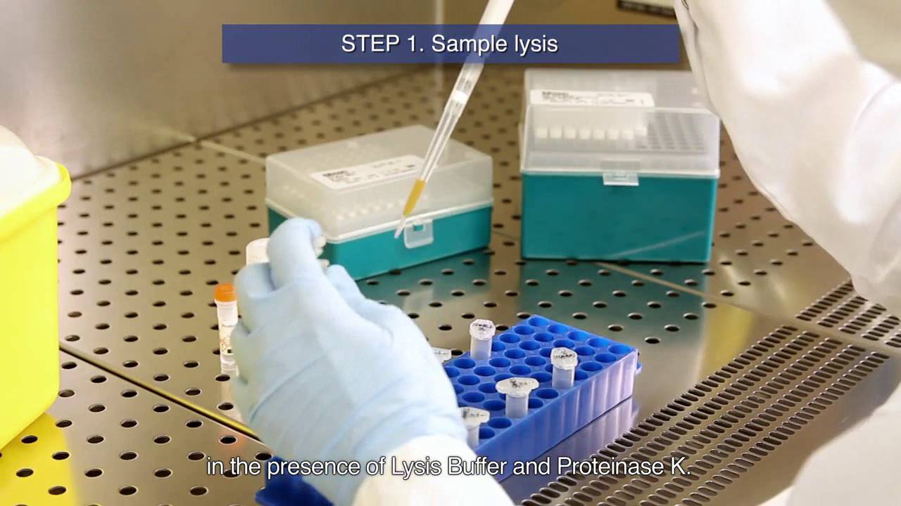 VIASURE Real Time PCR Detection Kits. Nucleic acids extraction & Initiation Protocol