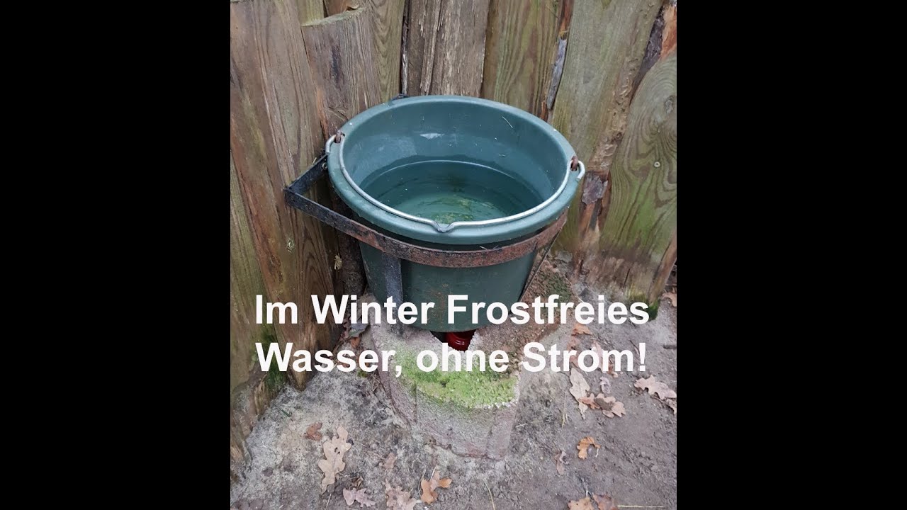 Wassertränke im Winter frostfrei ohne Strom