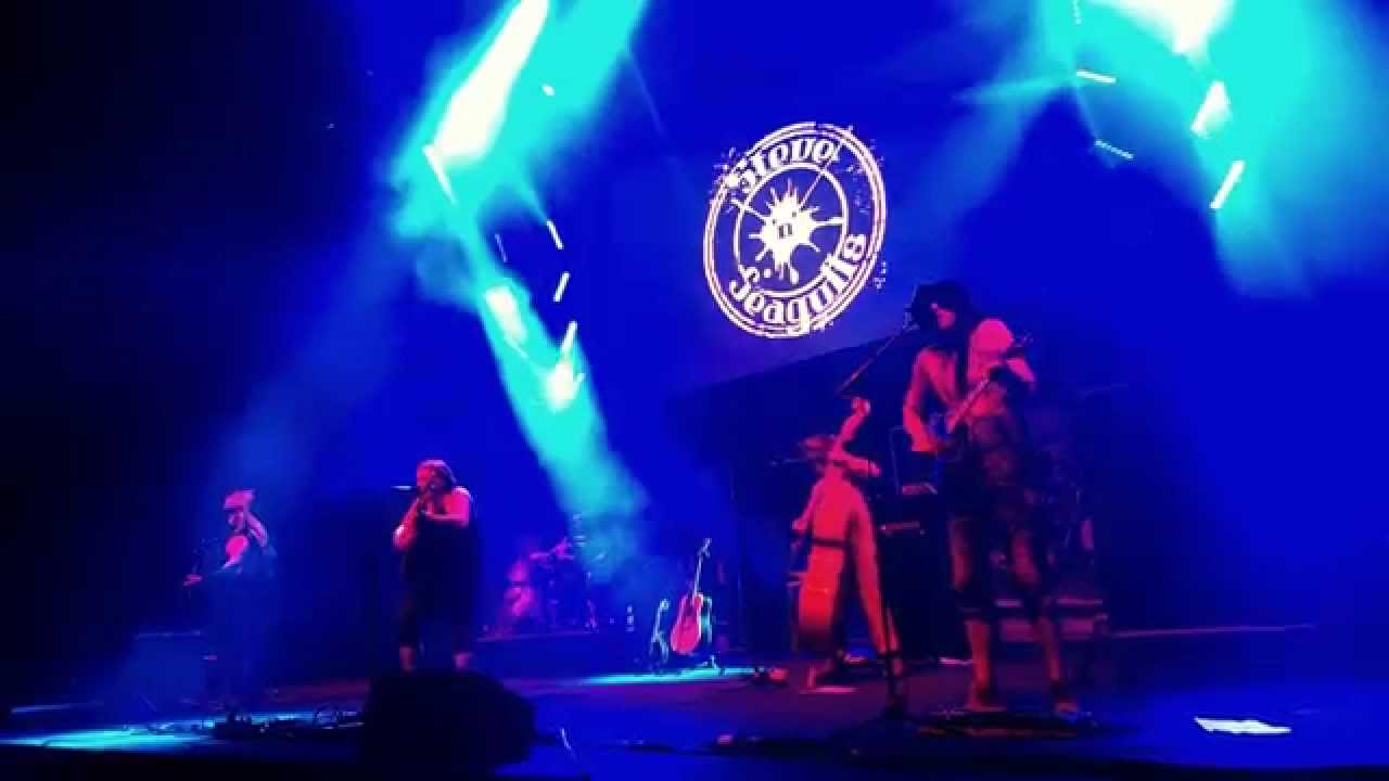 Steve`n`Seagulls - Take On Me
