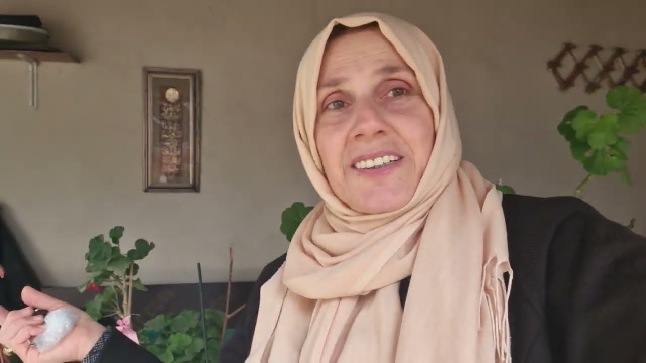 Gebze'de Hatice Hanım'ın Bahçesinde Agaç Şakayık 'in Dirilme Halı ile Diğer bahçe Bitkileri