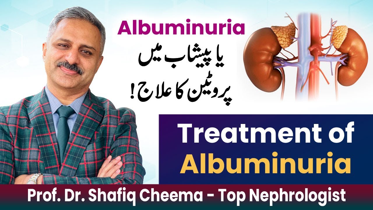 Treatment of Albuminuria or Proteinuria | Diet in Albuminuria #albuminuria #proteinuria #uacr