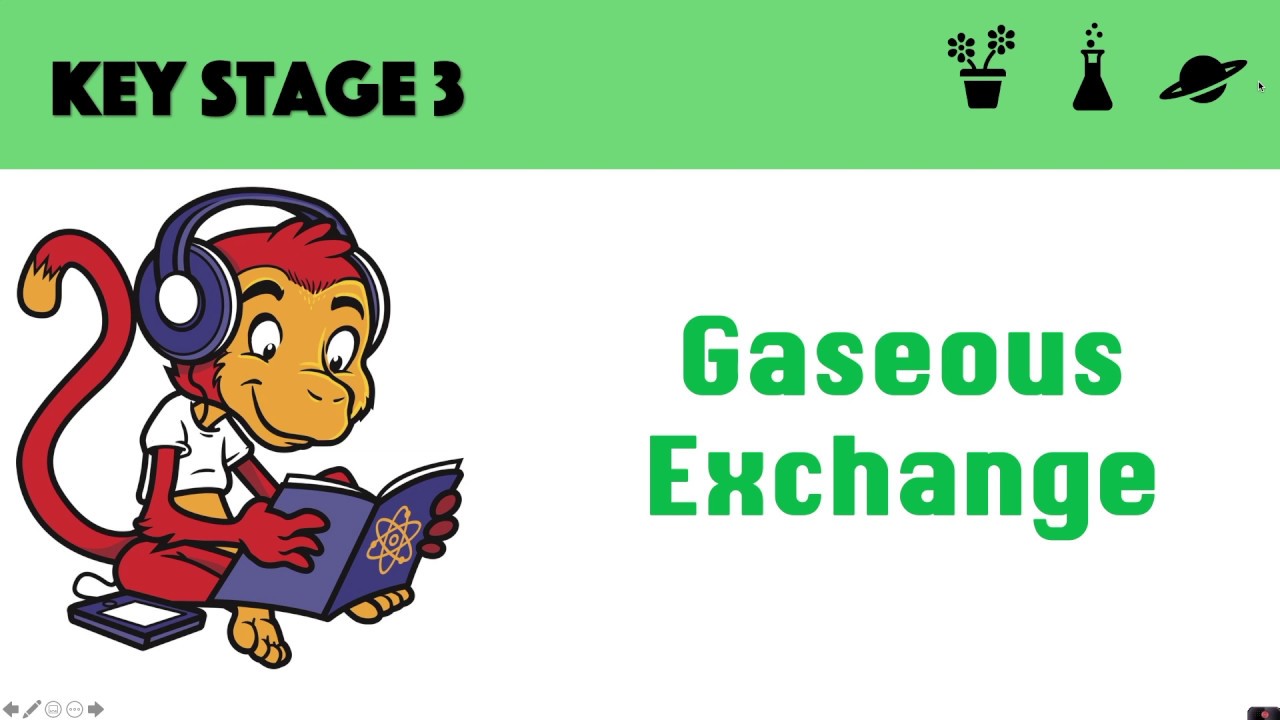 Gaseous Exchange