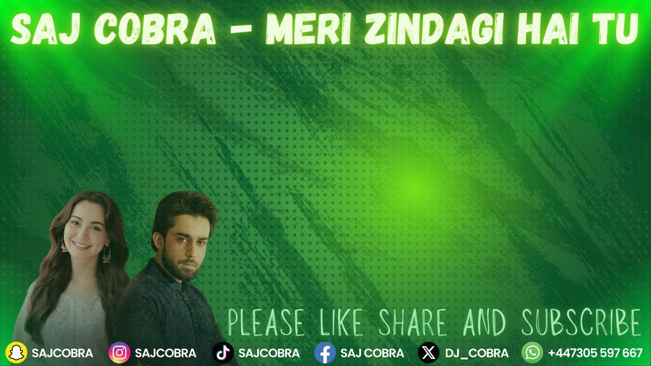 MERI ZINDAGI HAI TU | SAJ COBRA | ASIM AZHAR | SABRI SISTERS | THE LATEST PAKISTANI OST REMIX