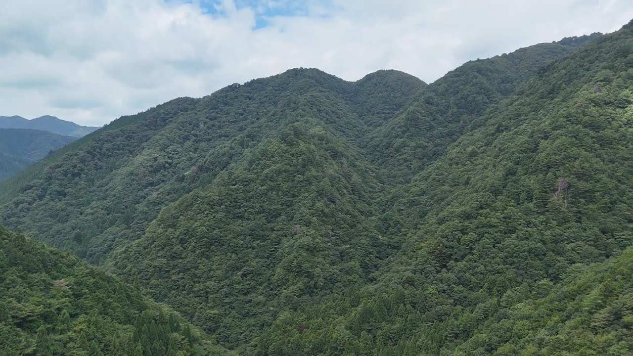 島根県益田市匹見町 裏匹見狭 長淵 drone view13