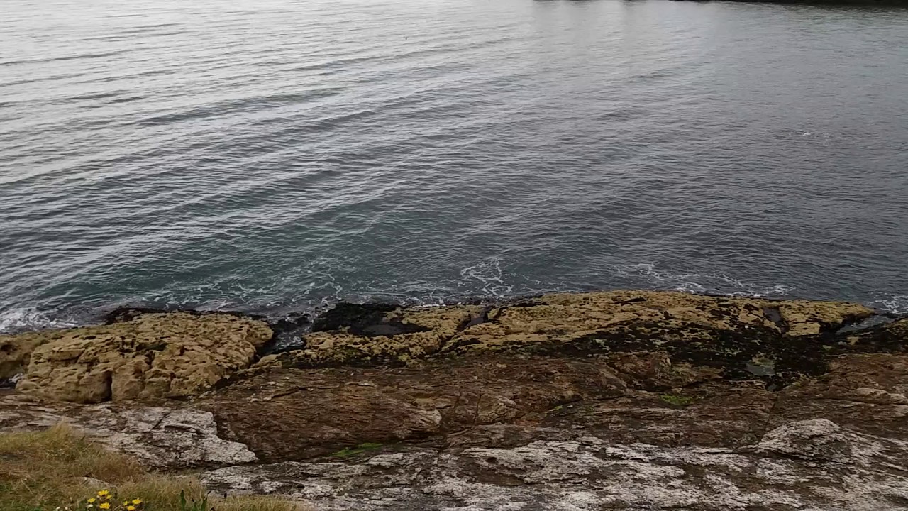 Isle of Muck, Islandmagee, Northern Ireland