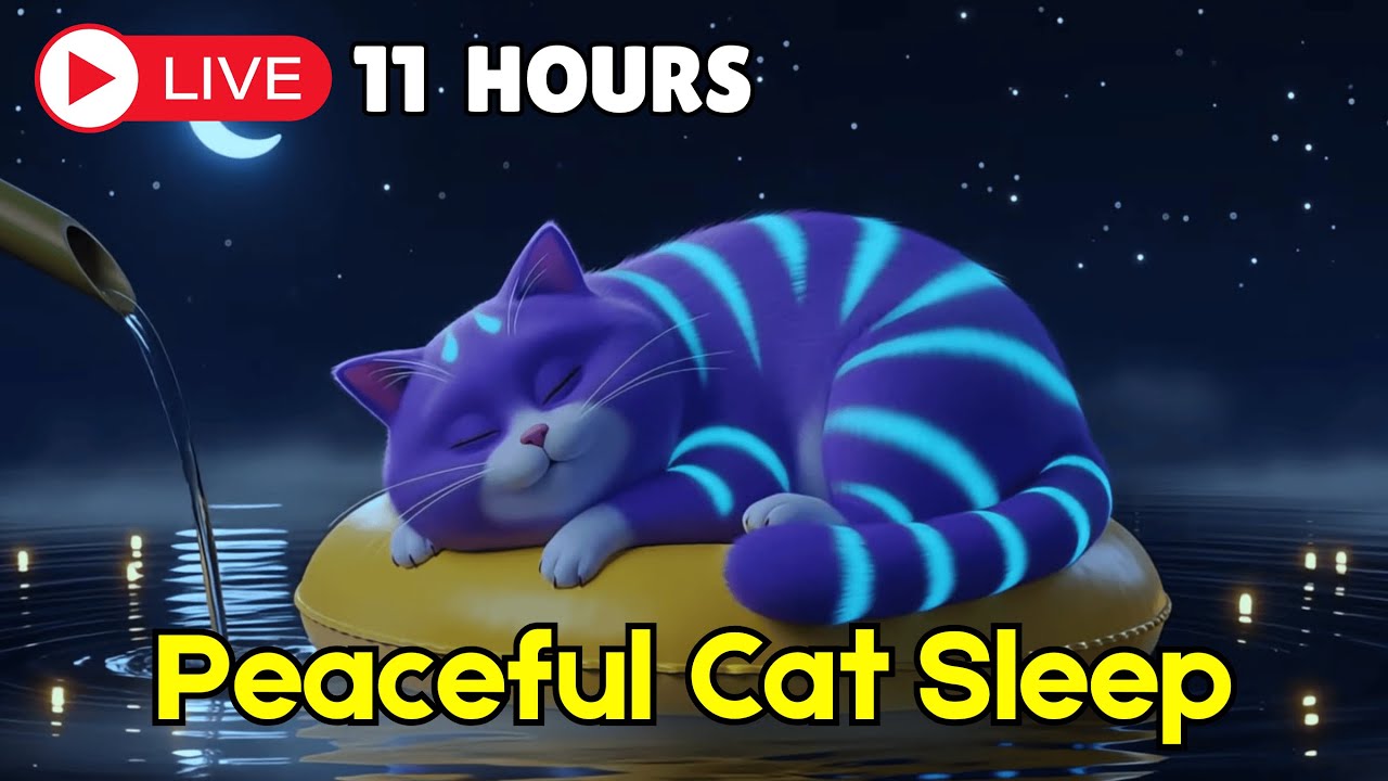 Help Your Cat Feel Safe! 🐾💖 Calm Piano Music for Deep Relaxation