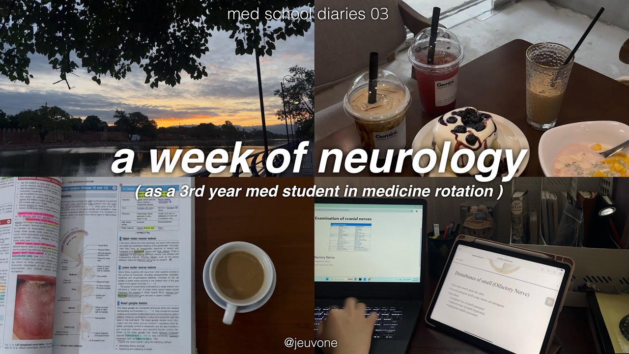 med school diaries 🧠 5AM days, productive study vlog, what’s in my bag, note-taking, cafe hangouts