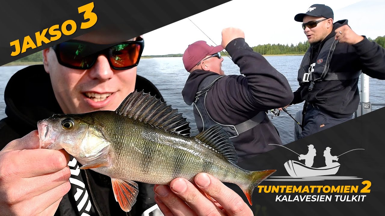 Kalaa nousee ja kisa elää | 3. jakso | #2 Tuntemattomien Kalavesien Tulkit