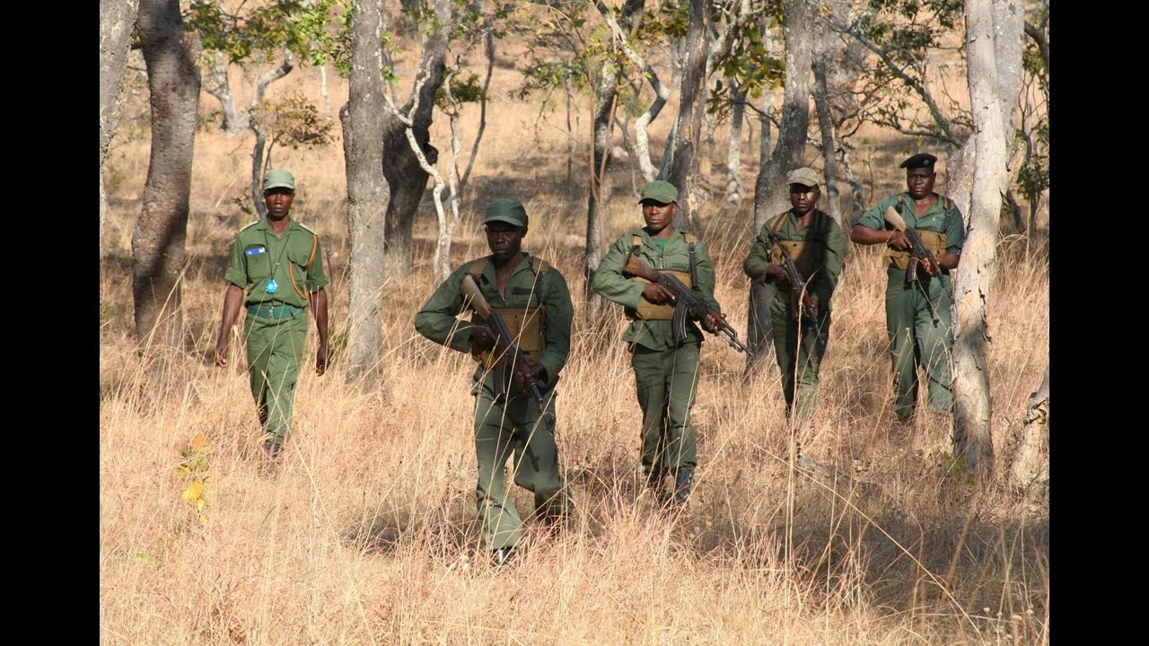 U.S. International Conservation Caucus Hearing: The Global Poaching Crisis