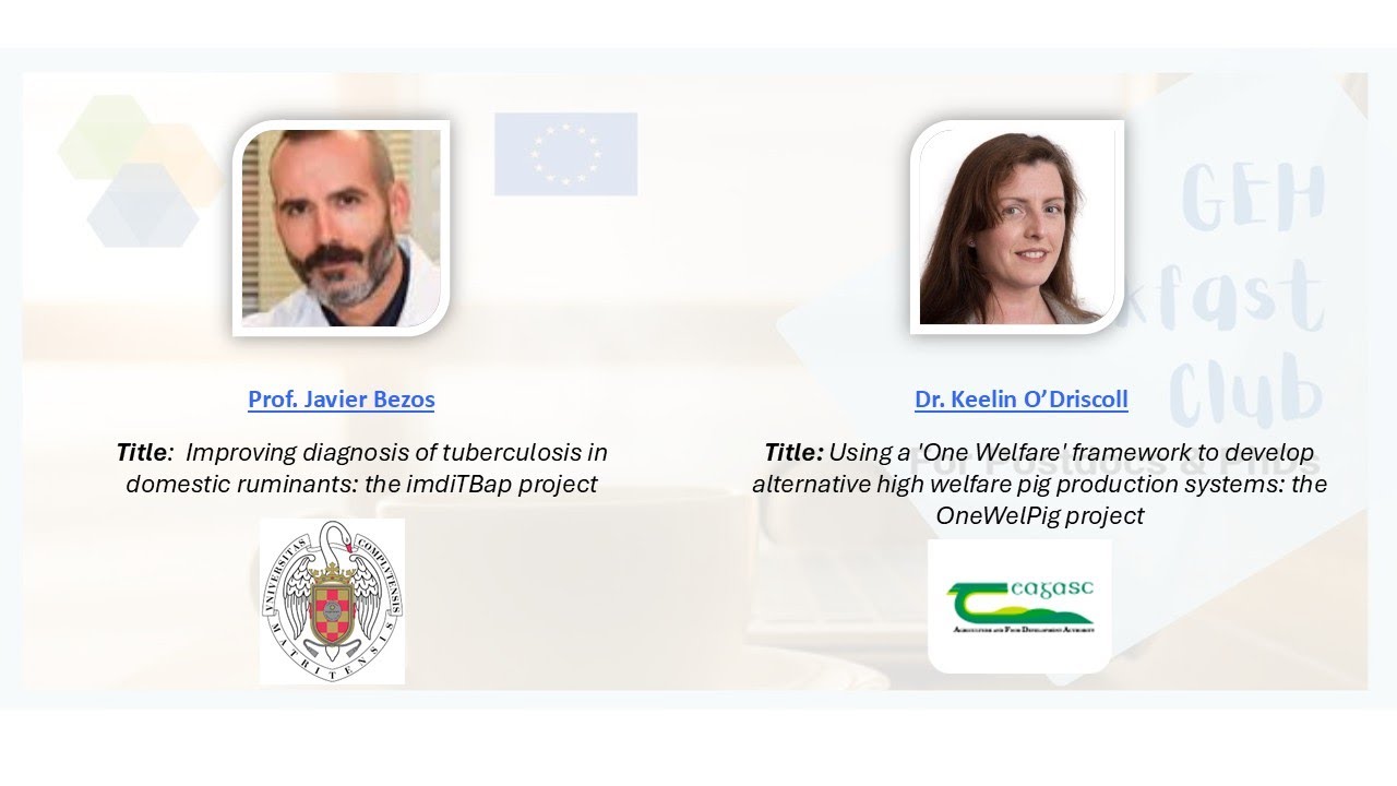 🐄 Advancing Animal Health and Welfare in Livestock Systems: The imdiTBap and OneWelPig Projects 🔍