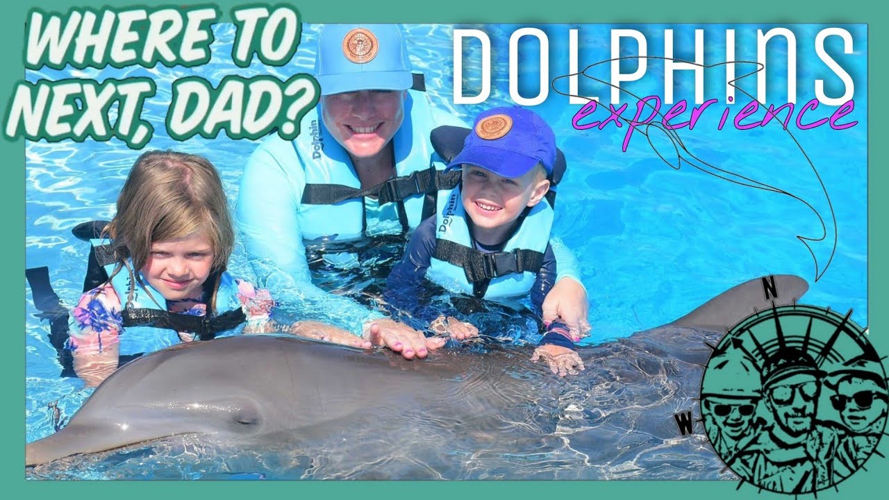 🧭 Swimming with Dolphins at Dolphin Discovery Tulum - Akumal