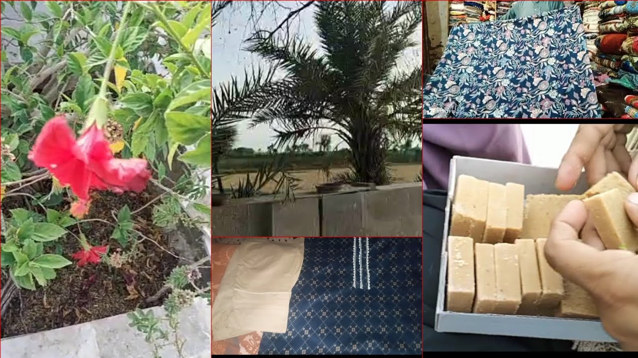 My daily routine in village l sindhi vlogs