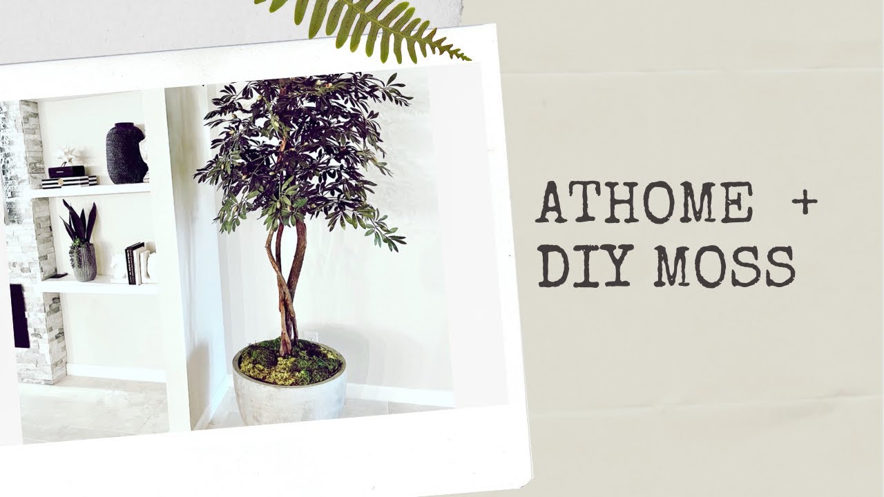 ATHOME SHOP WITH ME AND HAUL PLUS HOW TO DIY A MOSS PLANTER AND CENTERPIECE | THE BEST OLIVE TREE
