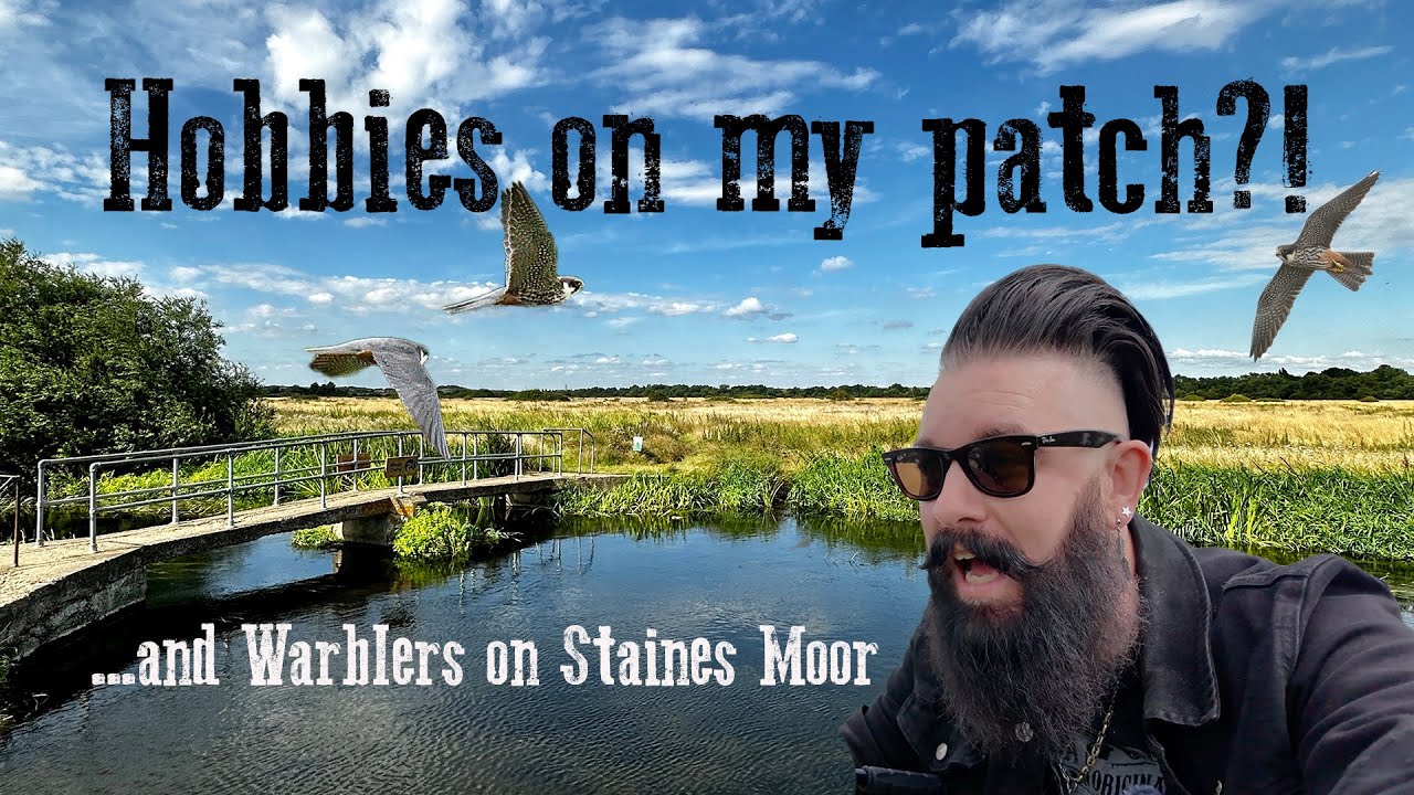 Hobbies On Staines Moor