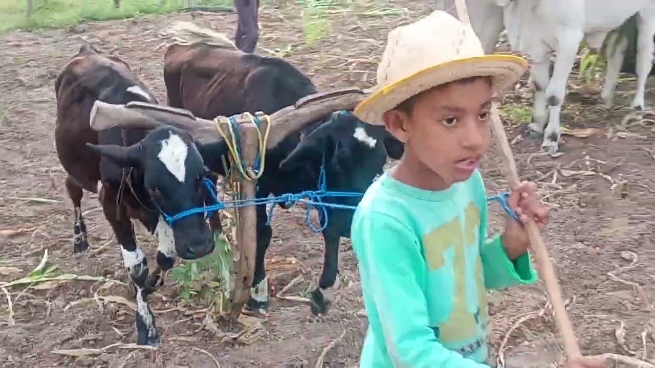 Esse vídeo ficou bem grande mais foi bem gravado 