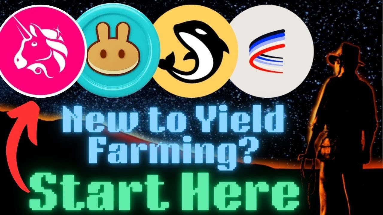 Which DEX Should Beginners Use? | Top 4 for Yield Farming