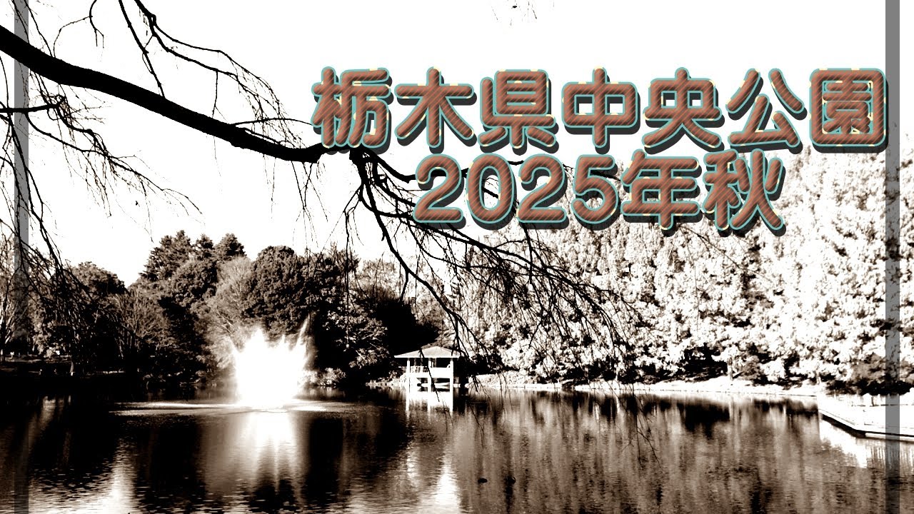 栃木県中央公園