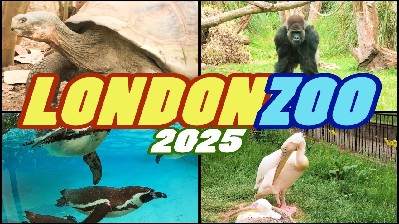 LONDON ZOO 2025 - London England [4k]
