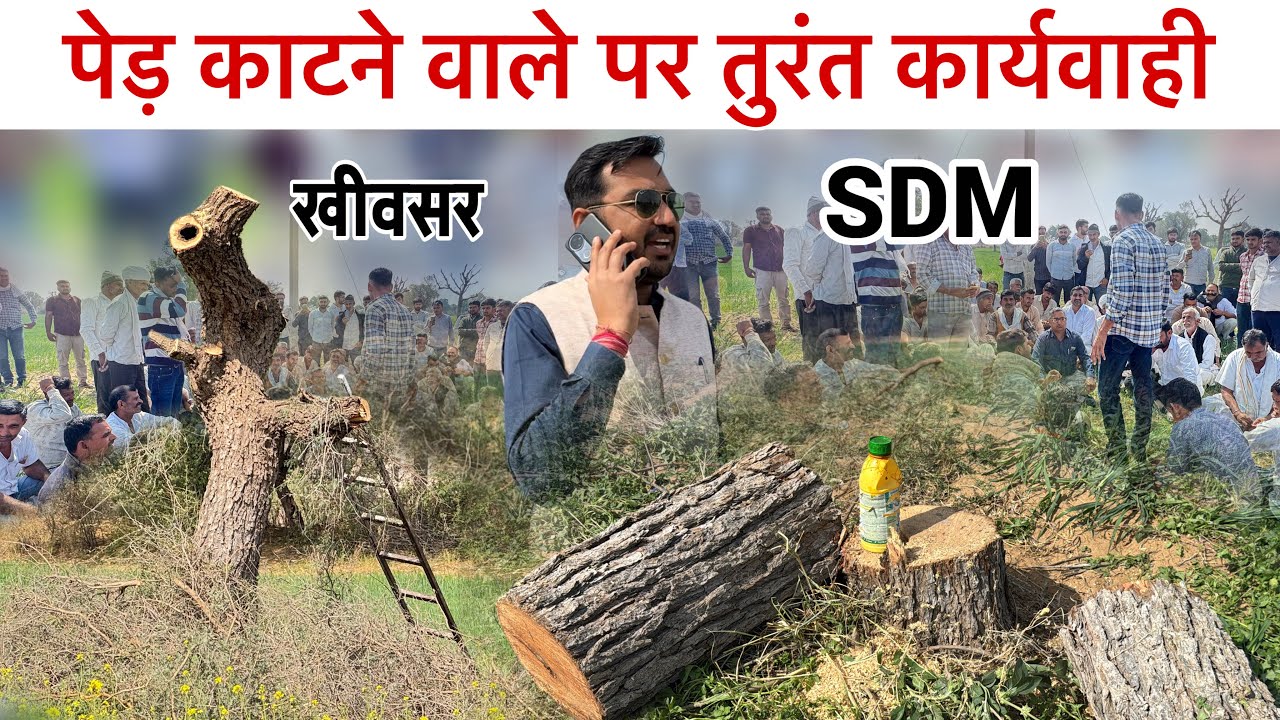 खीवसर SDM सुनील पंवार ने खेजड़ियों कटाई खिलाप की त्वरित कार्यवाही मौके पर ट्रेक्टर जब्त