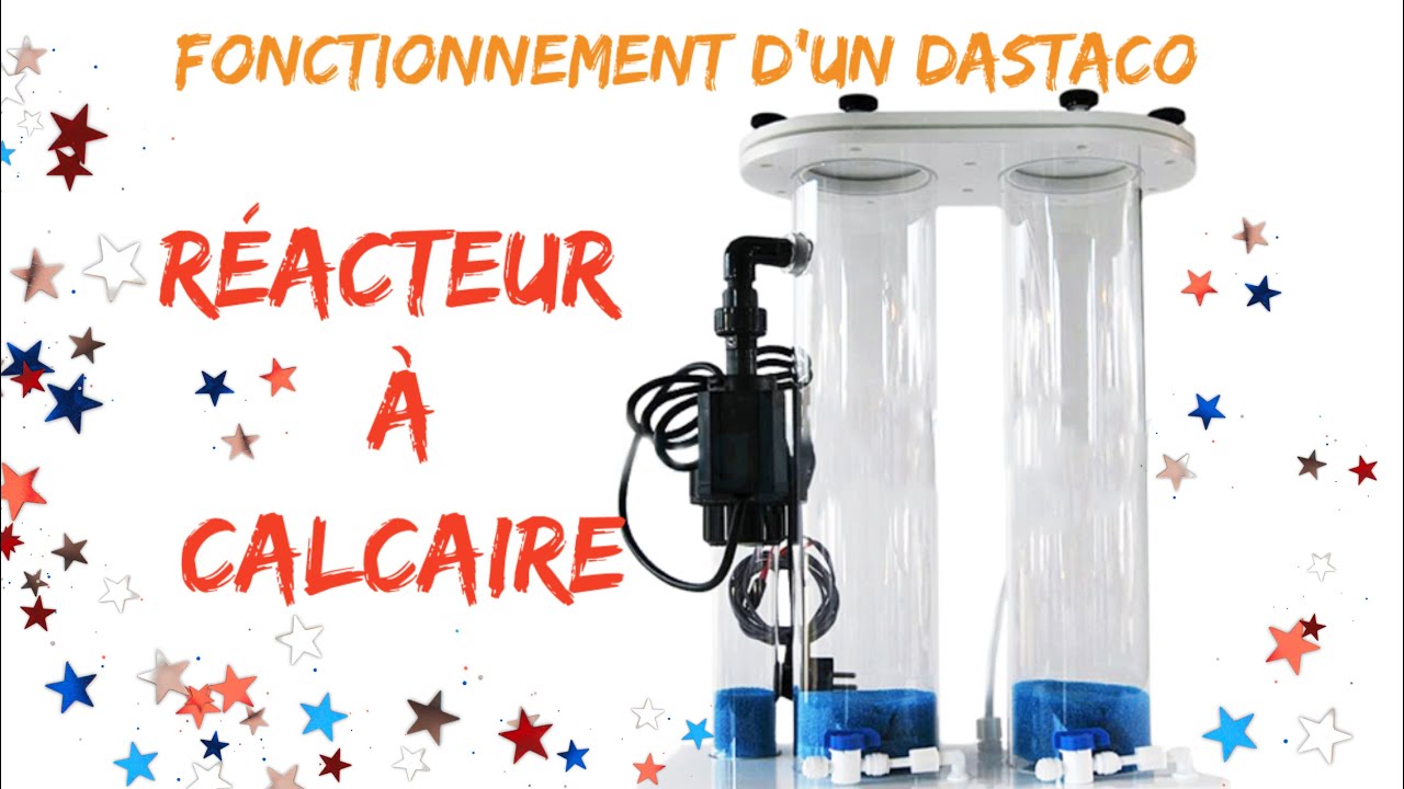 DaStaCo  - Présentation et Fonctionnement du Réacteur à Calcaire
