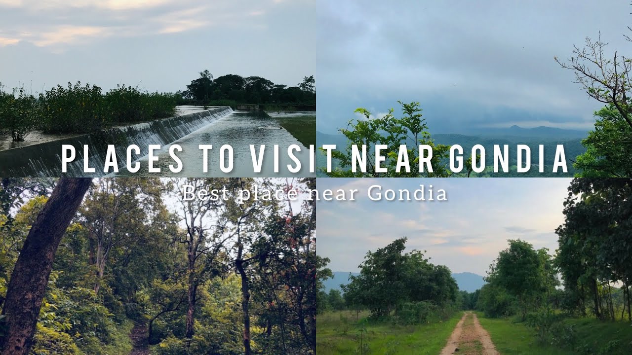 Gondia Best places to visit near Gondia | Gondia tourism | Maharashtra