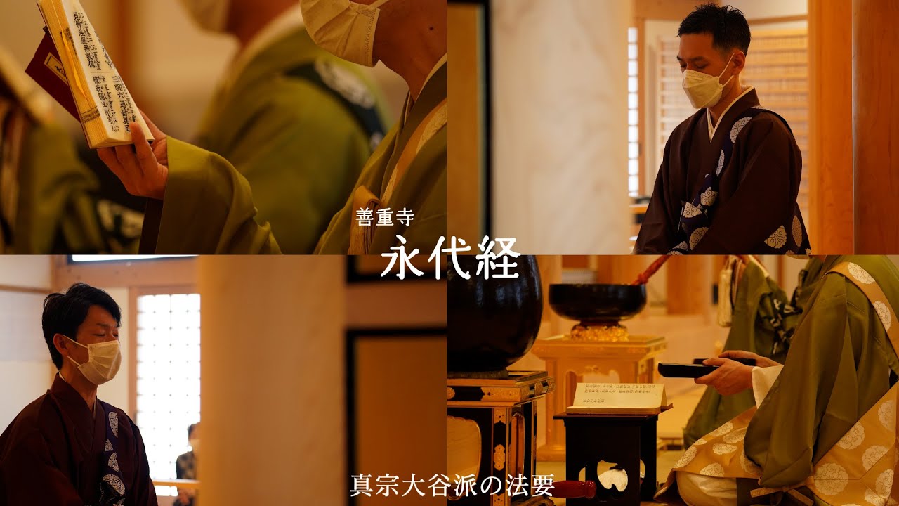 善重寺永代経法要【真宗大谷派の法要】　（伽陀・仏説阿弥陀経・和讃）　#真宗大谷派 #仏教 #浄土真宗 #声明