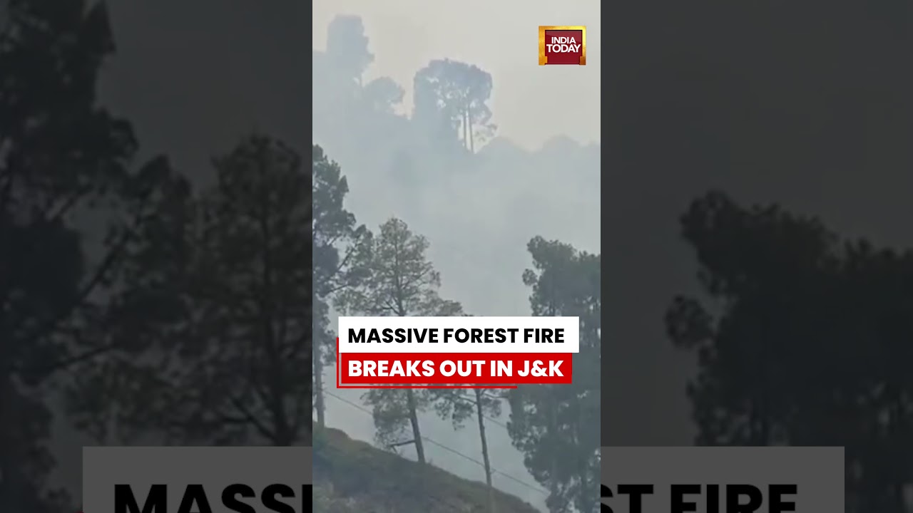 Forest Fire Breaks Out In J&K&rsquo;s Ramban District #forestfire #jammukashmir